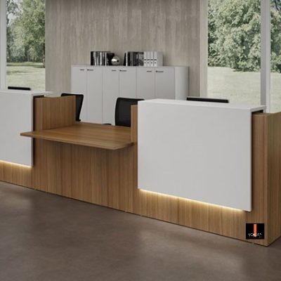 Mostrador/Recepción