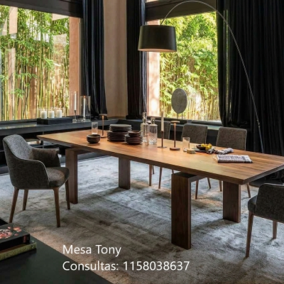 (Art. 170) Mesa Tony